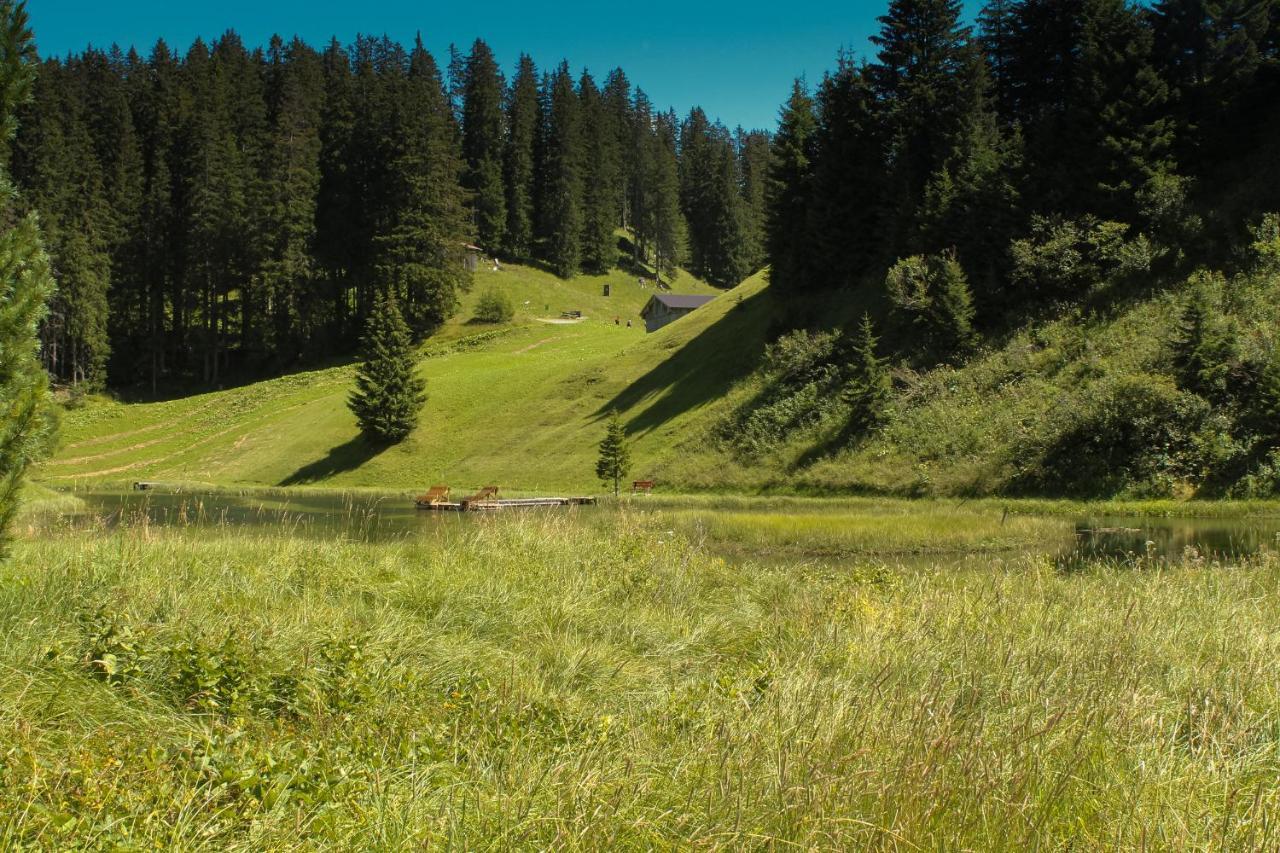 Am Gehren - Arlberg Appartements Warth  Экстерьер фото